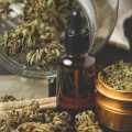 Ensuring Ongoing Compliance with Regulations for Dispensary Packaging