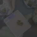 The Benefits of Plastic Containers for Dispensaries